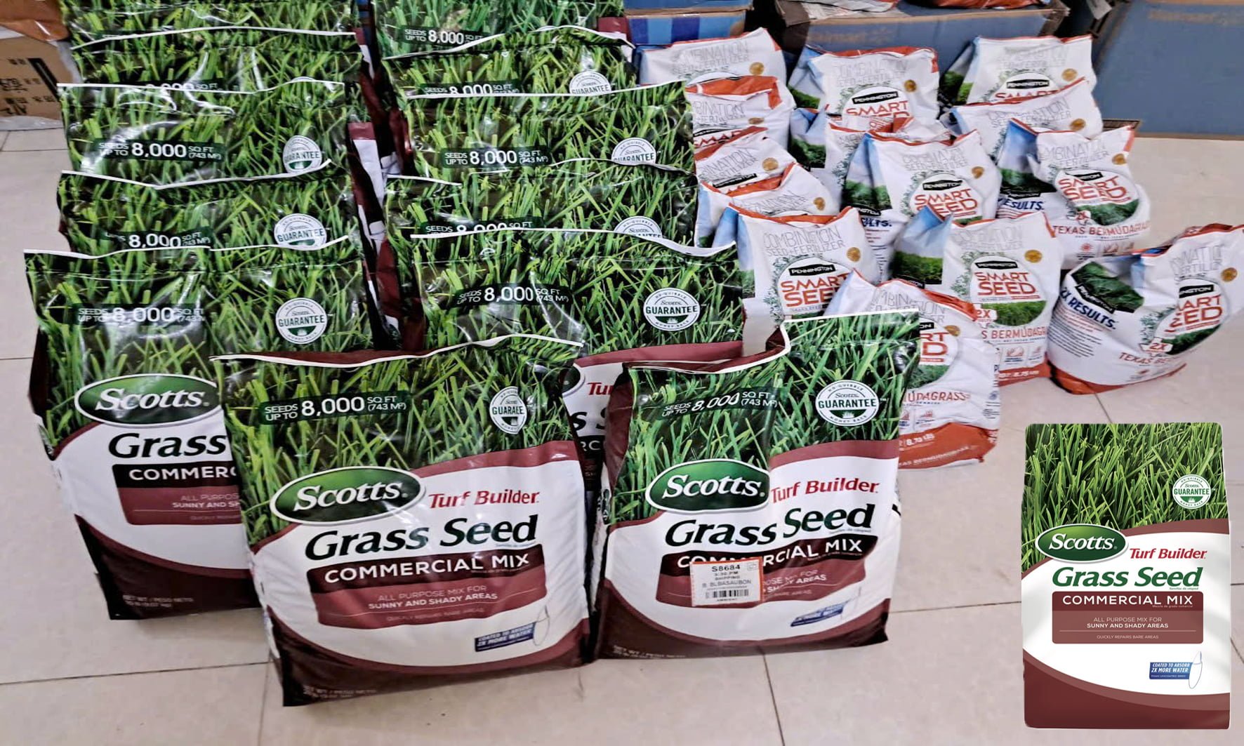 Hạt giống cỏ nhung nhật Zoysia