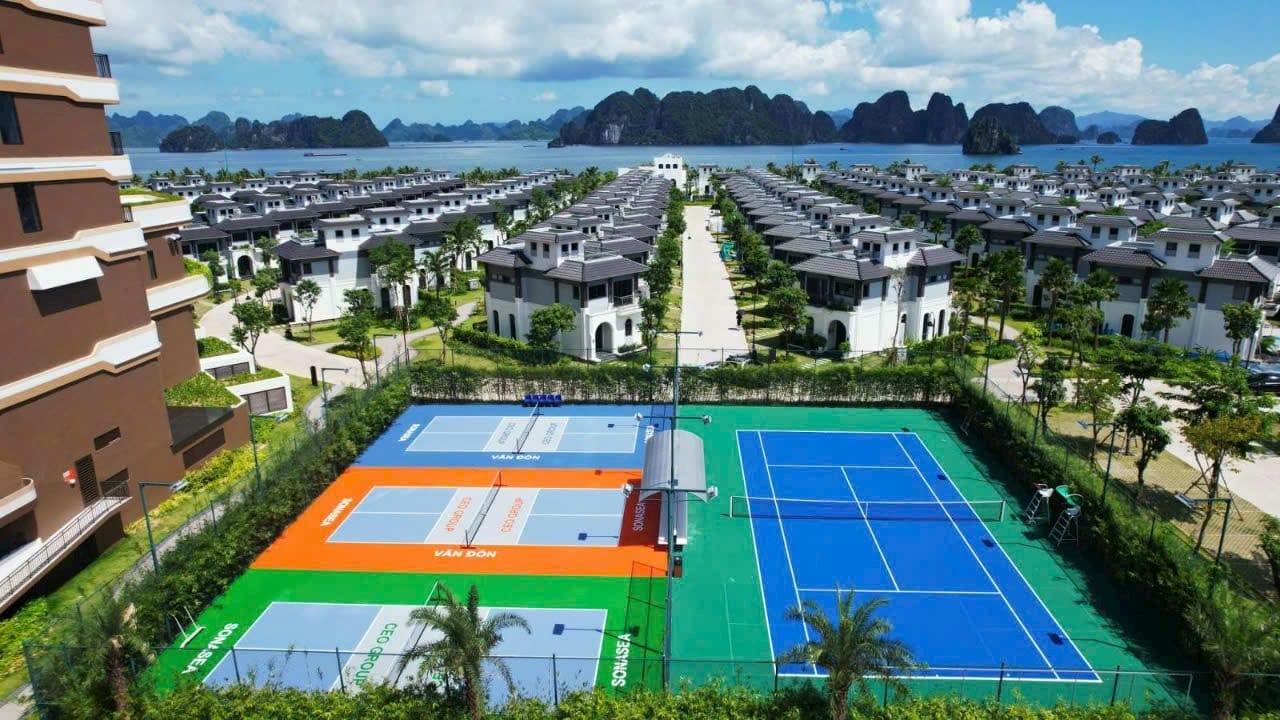 Thi công sơn sân Pickleball tại Hà Nội